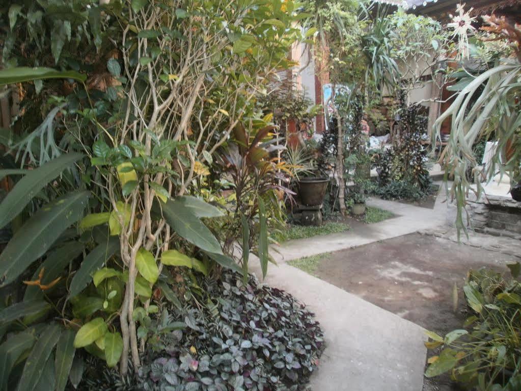 Alamanda Accomodation Ubud Zewnętrze zdjęcie